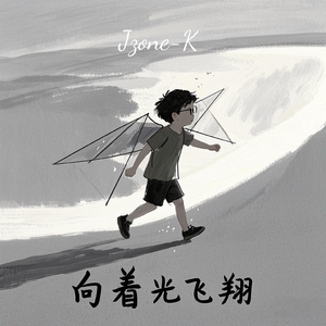 向着光飞翔