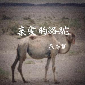 亲爱的骆驼