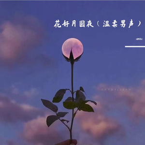 花好月圆夜（温柔版）
