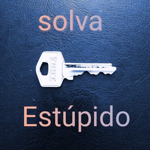 Estúpido
