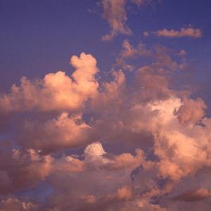 Morning-(Shreck)-(Prod.COLDEST)