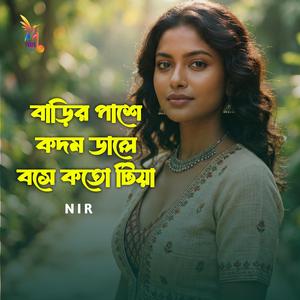 বাড়ির পাশে কদম ডালে বসে কতো টিয়া