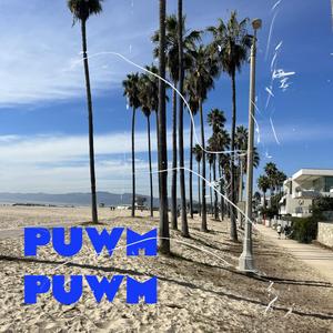 PUWM PUWM