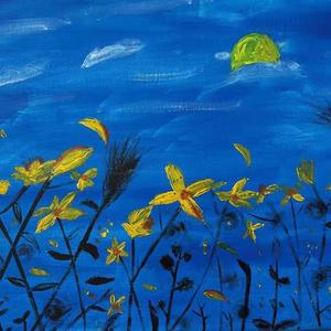 海边的风.（FloridaDreamP2）