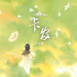 卡农（青春版）