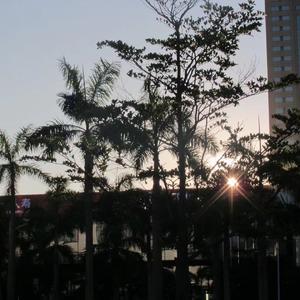 分手那天 我看着你走远