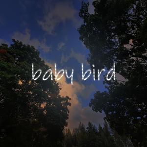 baby bird