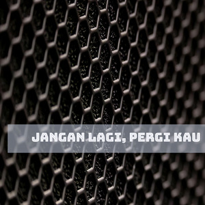 Jangan lagi, pergi kau