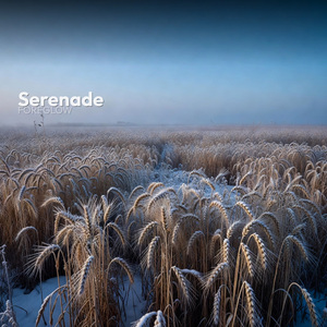Serenade