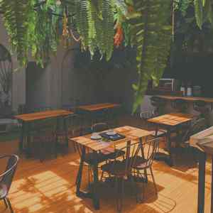 抚慰的午餐时间回忆