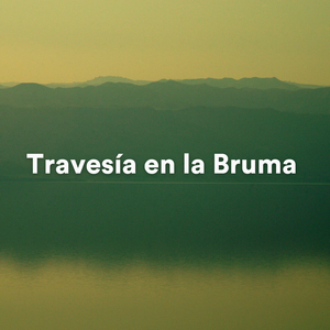 Melodías del Silencio (Musica Relajante para Meditación y Sueño)