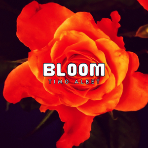 Astral Melodies of Blooming Vistas