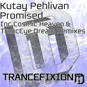 Promised (Original Mix)
