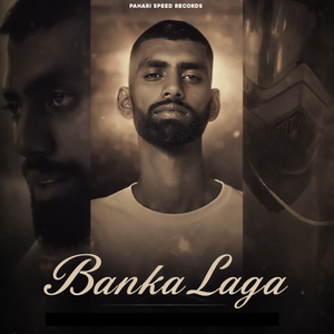 Banka Laga