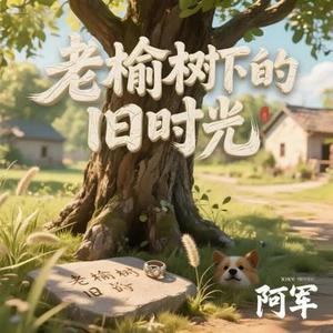 老榆树下的旧时光