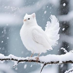 2002年的第一场雪 (DJ版)