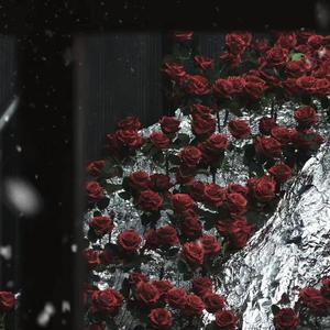 Experience（钢琴版）