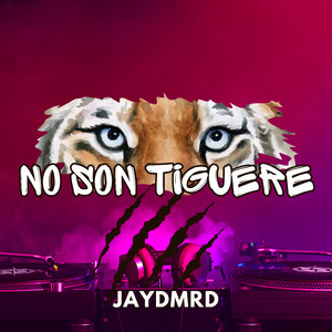 No Son Tiguere