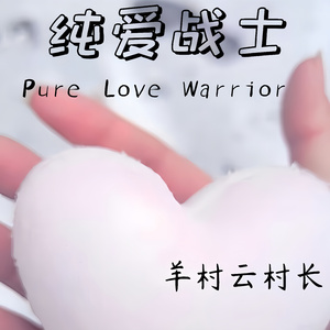 纯爱战士