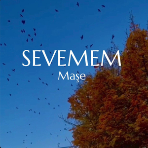 Sevemem
