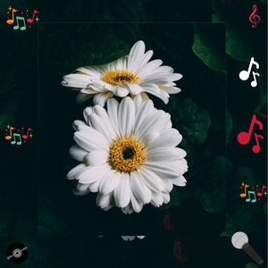 Vexnira Mynthar (Original Mix)