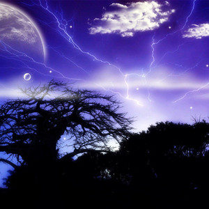 風変わりな小さな恋愛