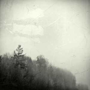 I Have Never Seen the Light