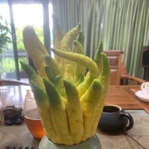 自渡