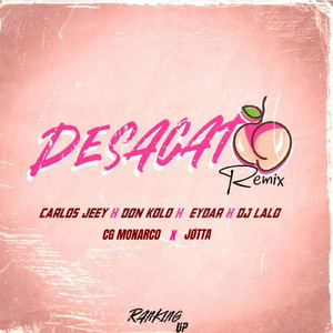 Desacato (Remix)