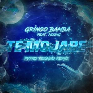 Te Mojare Techno (feat. Pytro & Michael4FD)