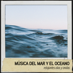 Contemplacion del oceano