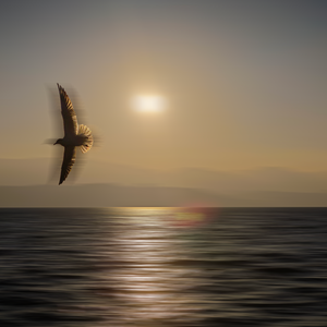 3月7日 下午7点08分~1