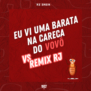 Eu Vi uma Barata na Careca do Vovô Vs Remix Rj