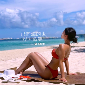 飛向海的世界。微笑