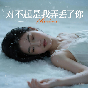 对不起是我弄丢了你