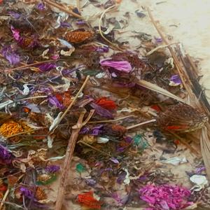 prescise1 disclaim riders