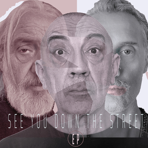 Hai mai visto pinguini passeggiare per Pontassieve? (Luca Giuoco mix)