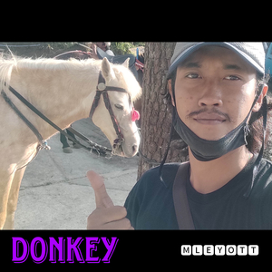 Donkey