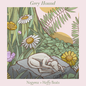 Greyhound