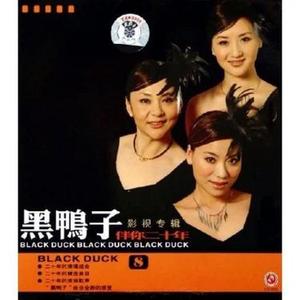 妹妹找哥泪花流