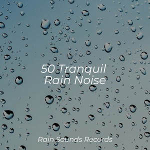 Flights Above Tranquil Lakes