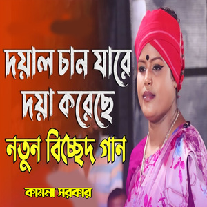 দয়াল চান যারে দয়া করেছে