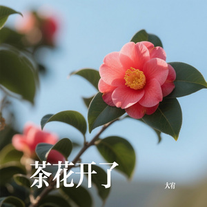 茶花开了