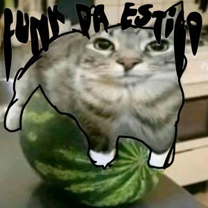 Funk Da Estilo Old Versión (En Vivo)