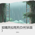 如晴天似雨天 (DJ村长 remix)