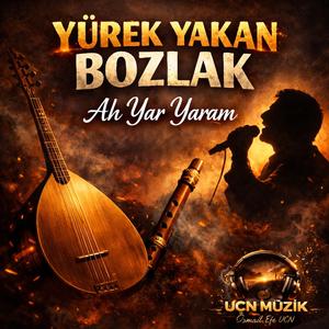 Ah Yar Yaram | Yürek Yakan Bozlak Türkü (Bağlama & Mey)