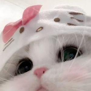 City of the Angels (slowed)