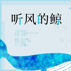 听风的鲸