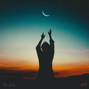 Fly Away (Inst.)