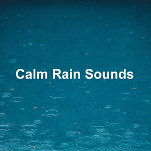 Calm Rain Sounds Pt. 01